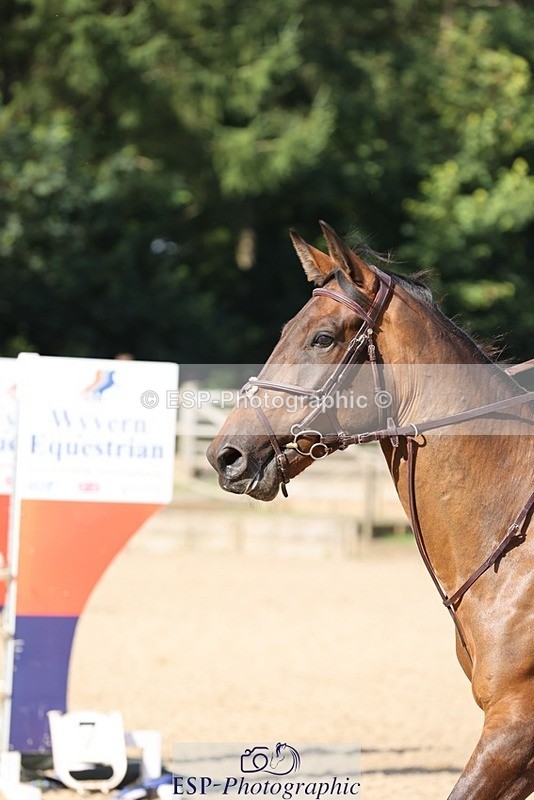 240711-090658-24597 - Cls 119 5 Yr Old Qualifier 1.10m