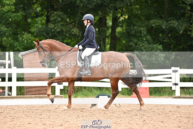 240817A-152333-10084 - 223-Pippa.Knight-KFS.Boston.Burglar