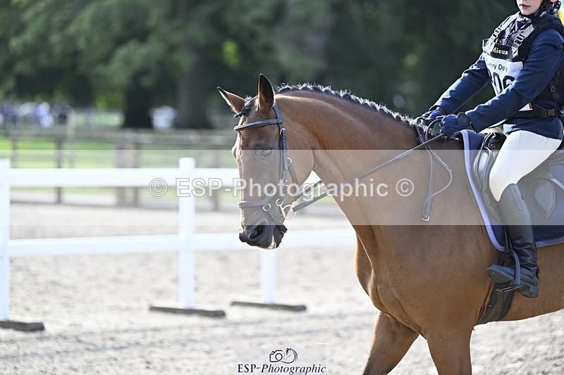 240823X-095102-14933 - 60cm R2 9.30 to 11.00