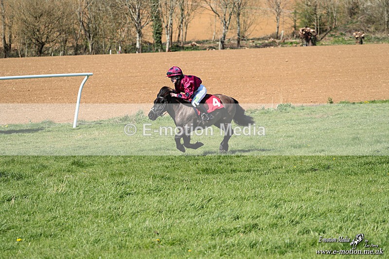 Shet 060426 189 - Shetland Pony Racing Paxford Races Easter Mon 06/04/26