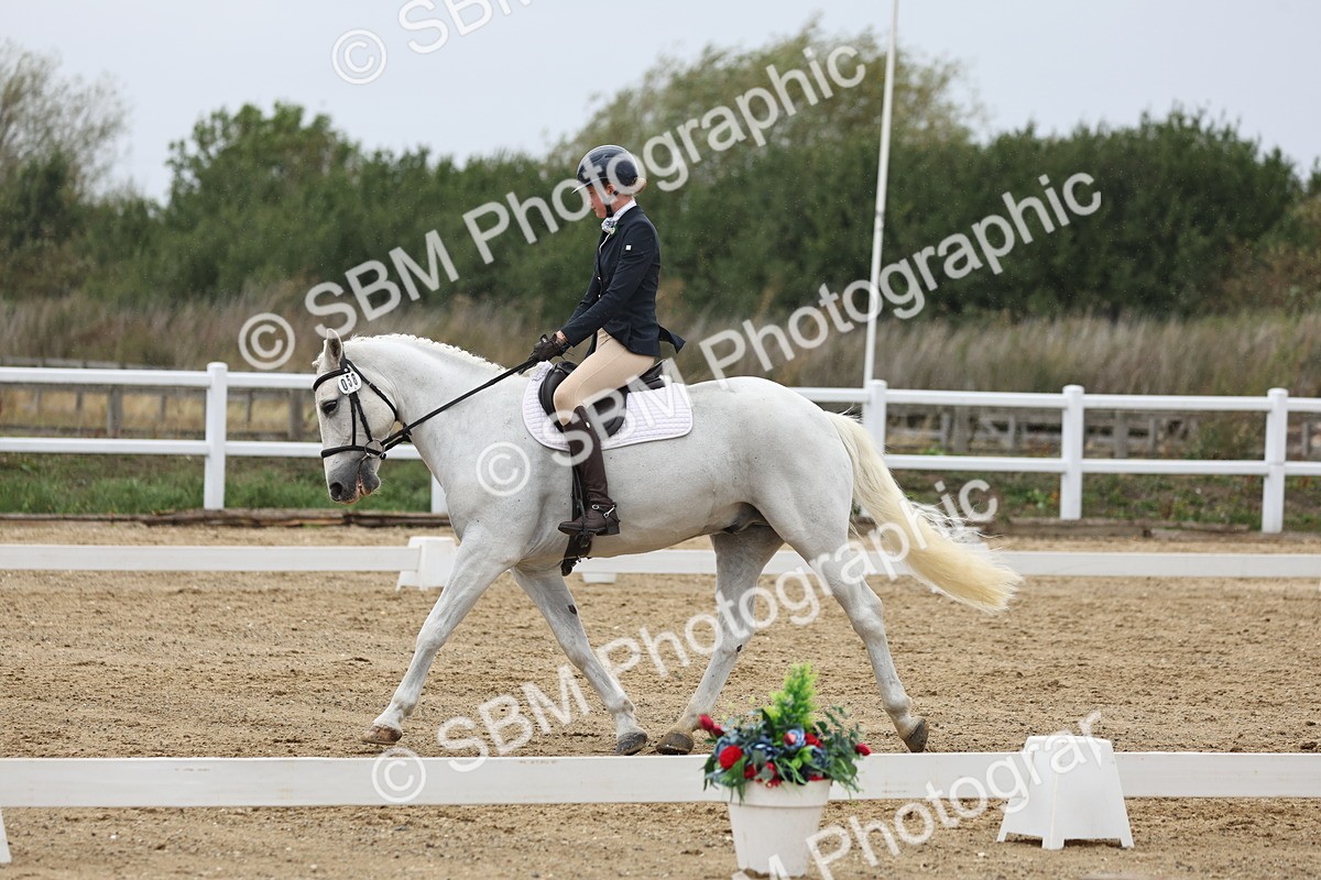 SBM_004305 - Class 8 - Novice 3 Champs