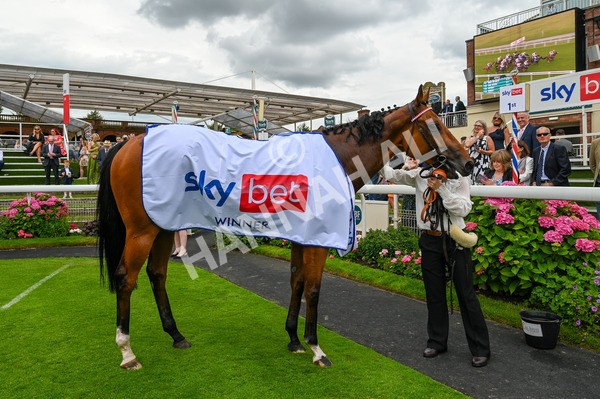 270724-Race 1-Night On Earth-9160 - Race 1 2.05pm Sky Bet 'Jump Jockeys' Nunthorpe' Handicap