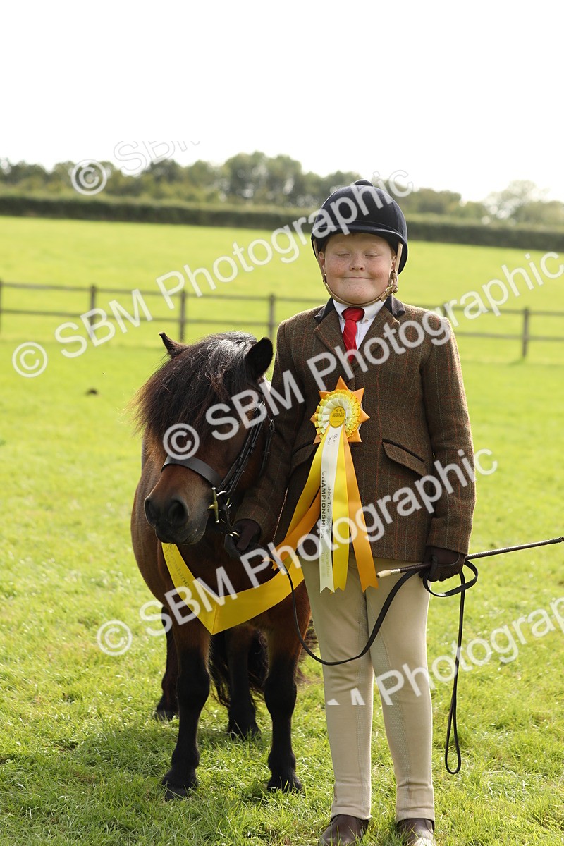 SBM_68731 - S40 - Junior Handler 9-12 Years