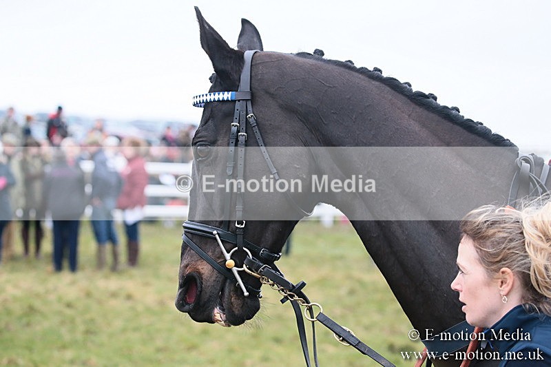 PtP 170219 -28 - Combined Services Point-To-Point Larkhill 17/02/19