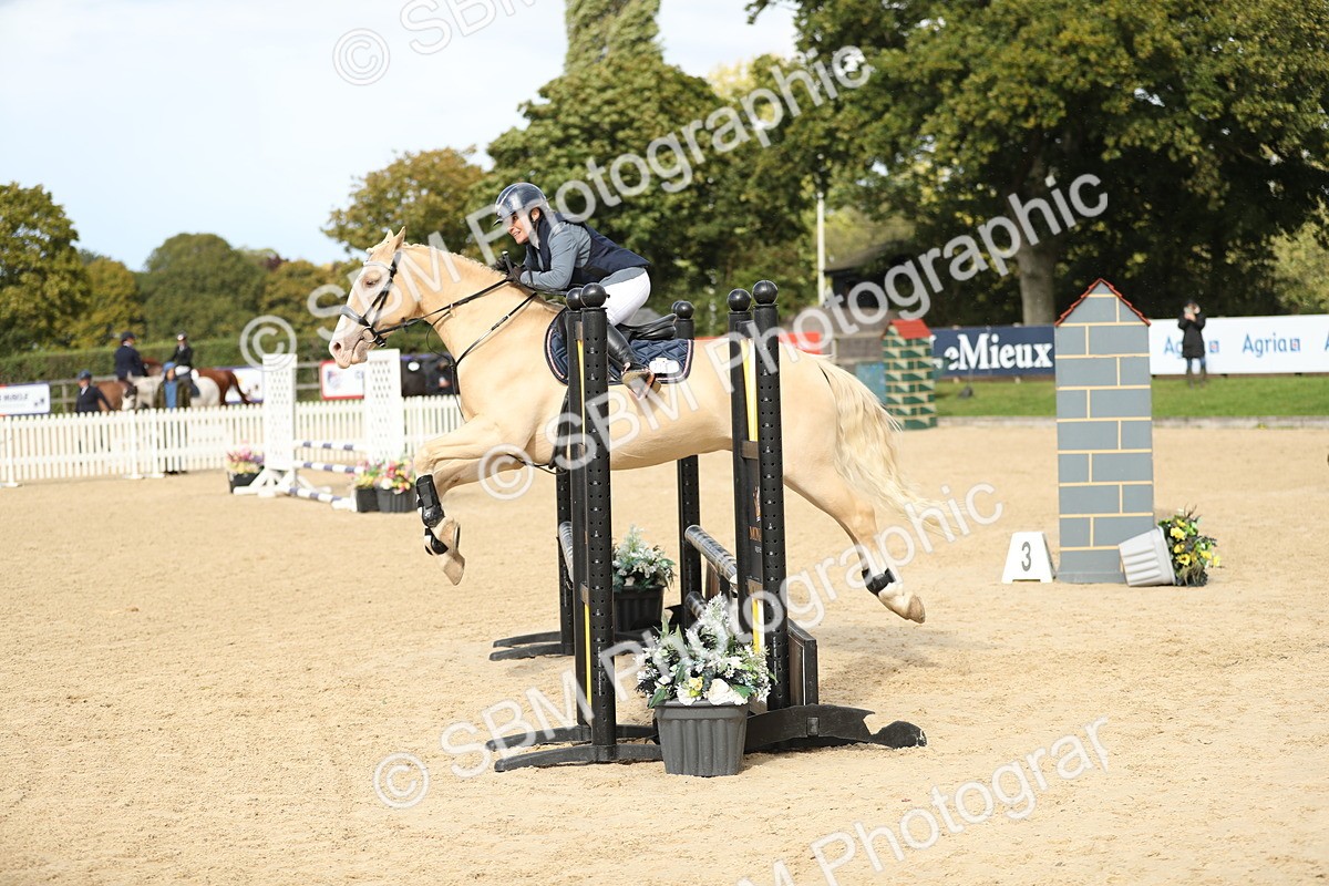 SBM_09901 - J36 - Veteran Rider 70cm