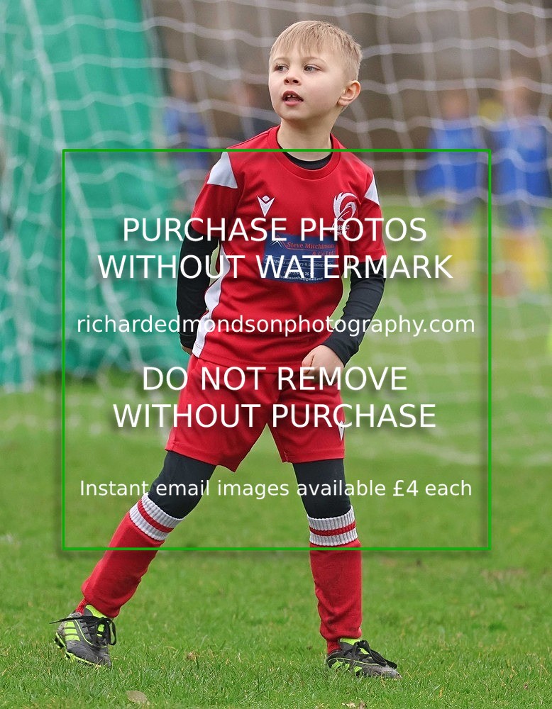 533A0766 - Ibis Under 7's (28/2/26)