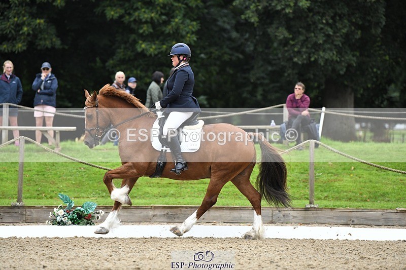 230812-091927-02767 - Cls 6 Novice Silver Start to 10.20 break