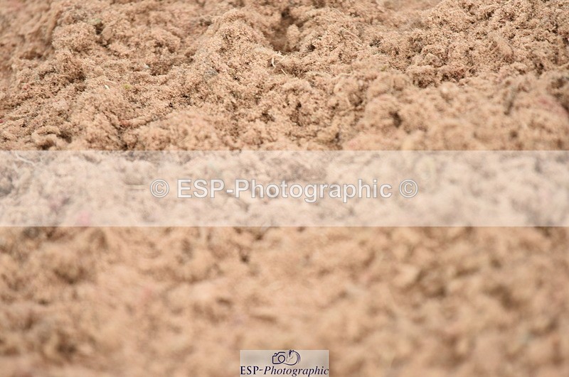 230813A-145222-13448 - Cls 50 Senior Foxhunter