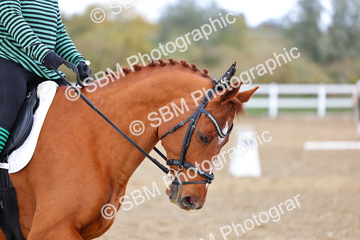 SBM_002604 - Class 8-11 - Novice 1-E1