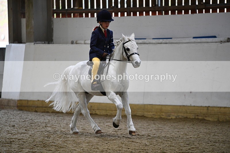 WJ5_7202 - Class 11 Ridden PC - RC Pony