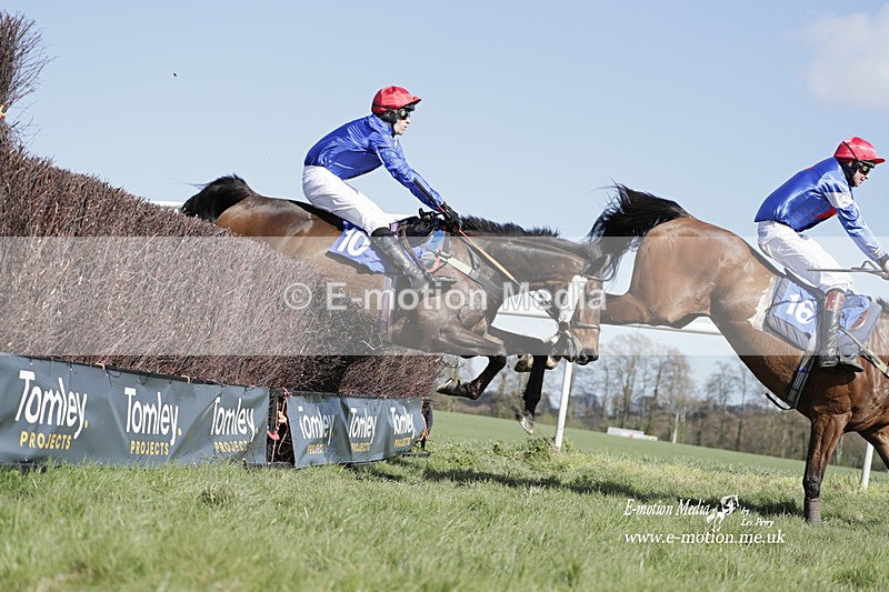 PtP 100423 788 - Old Berkshire Point-to-Point Lockinge 10/04/23
