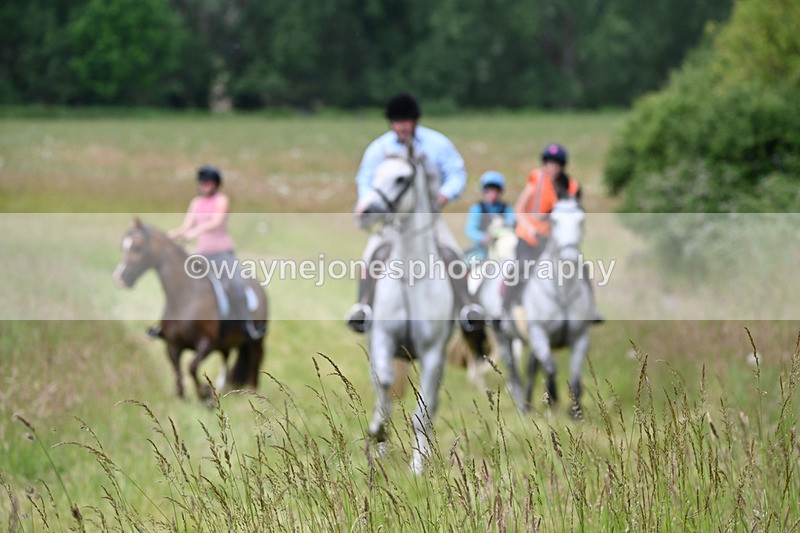 WJ6_8087 - Camera 1 Gallops