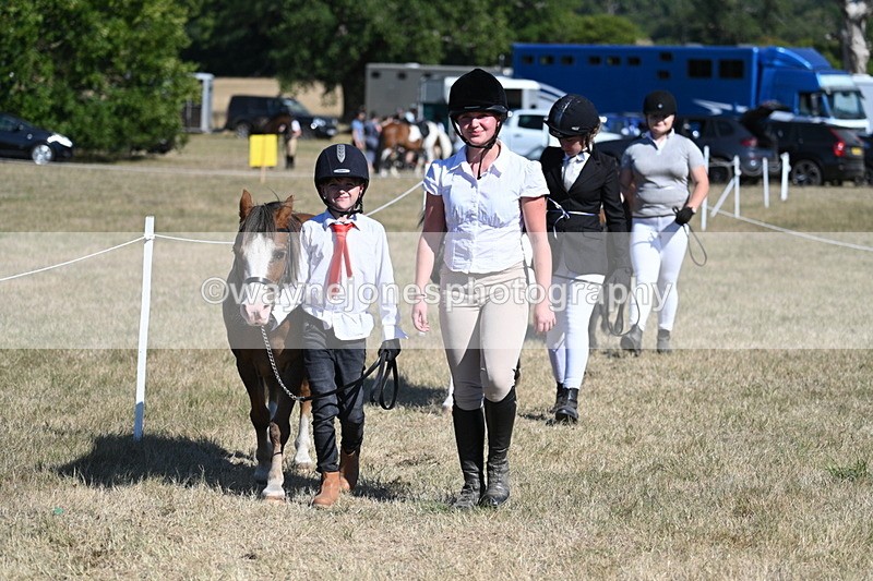 WJ7_1845 - Class 43 Best Six Legs (In hand)