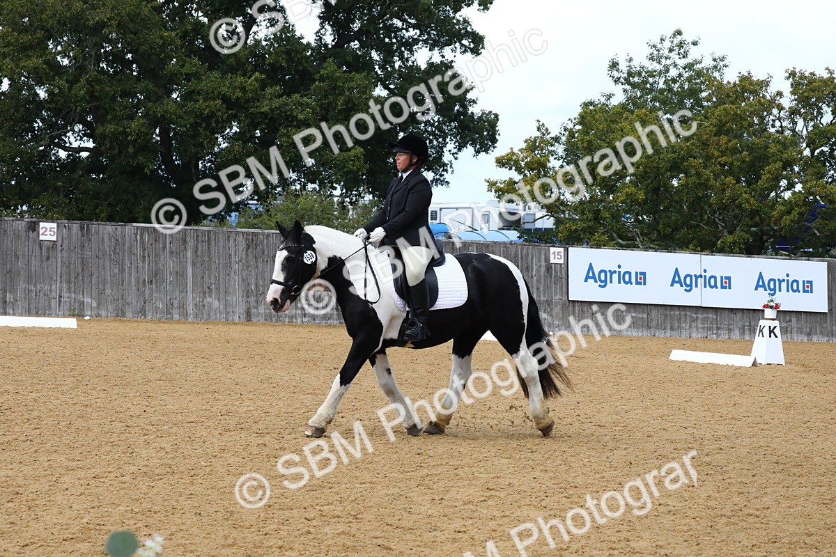 SBM_23433 - D5 - Small Tour Championshop Intro 2