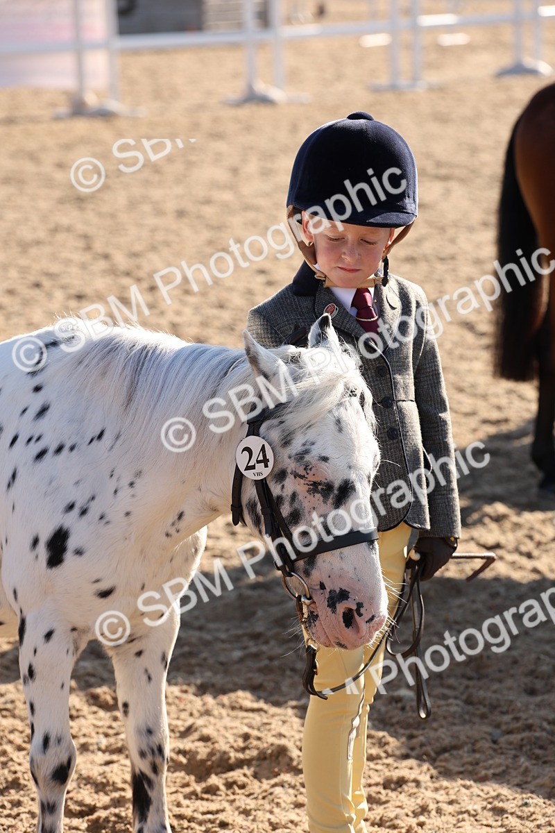 SBM_11678 - Class 203 - Young Handler 11 to 16 years