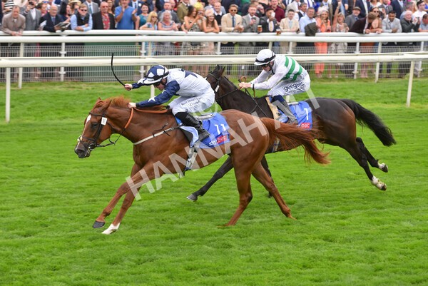 yr19082021r1-38 - Race 1 1.50pm Sky Bet Lowther Stakes