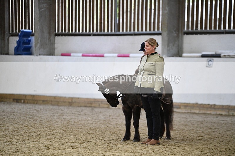 WJ5_7012 - Class 10 Childs Pony