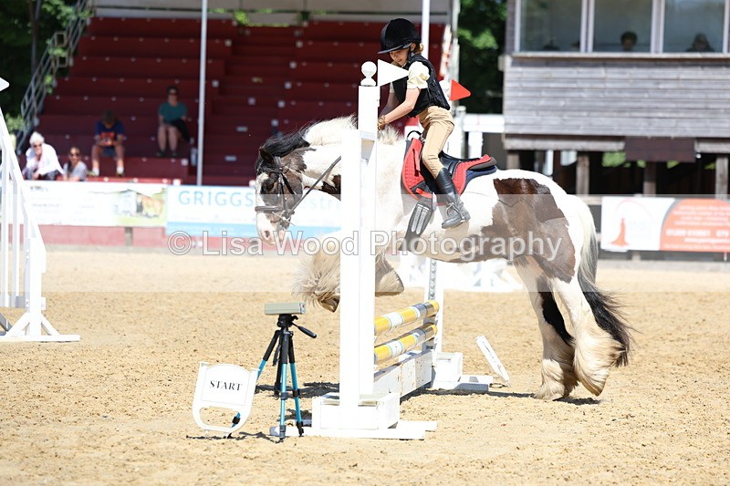 3E7A2601 - Class 4/5: 60cm Open Teams and Individuals