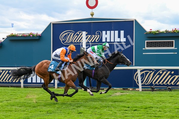 310525-Race 2-Tadej-8967 - Race 2 2.05pm Irish Thoroughbred Marketing EBF Restricted Novice Stakes