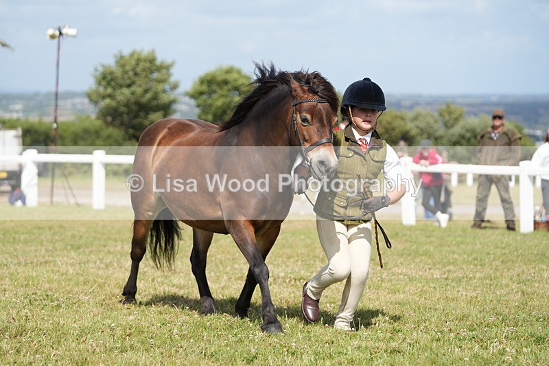DSC07622 - Class 62: Child Handler