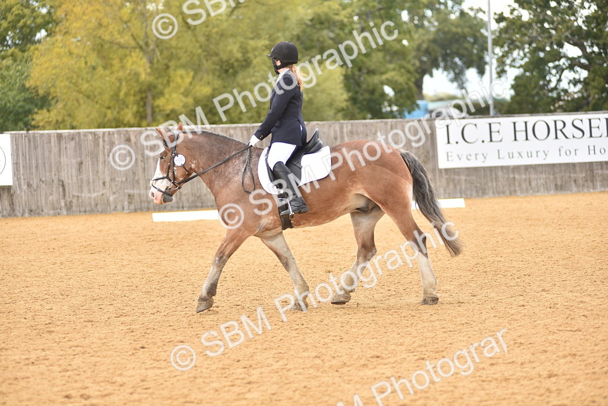 SBM_19870 - D4 - Small Tour Championship Intro 4