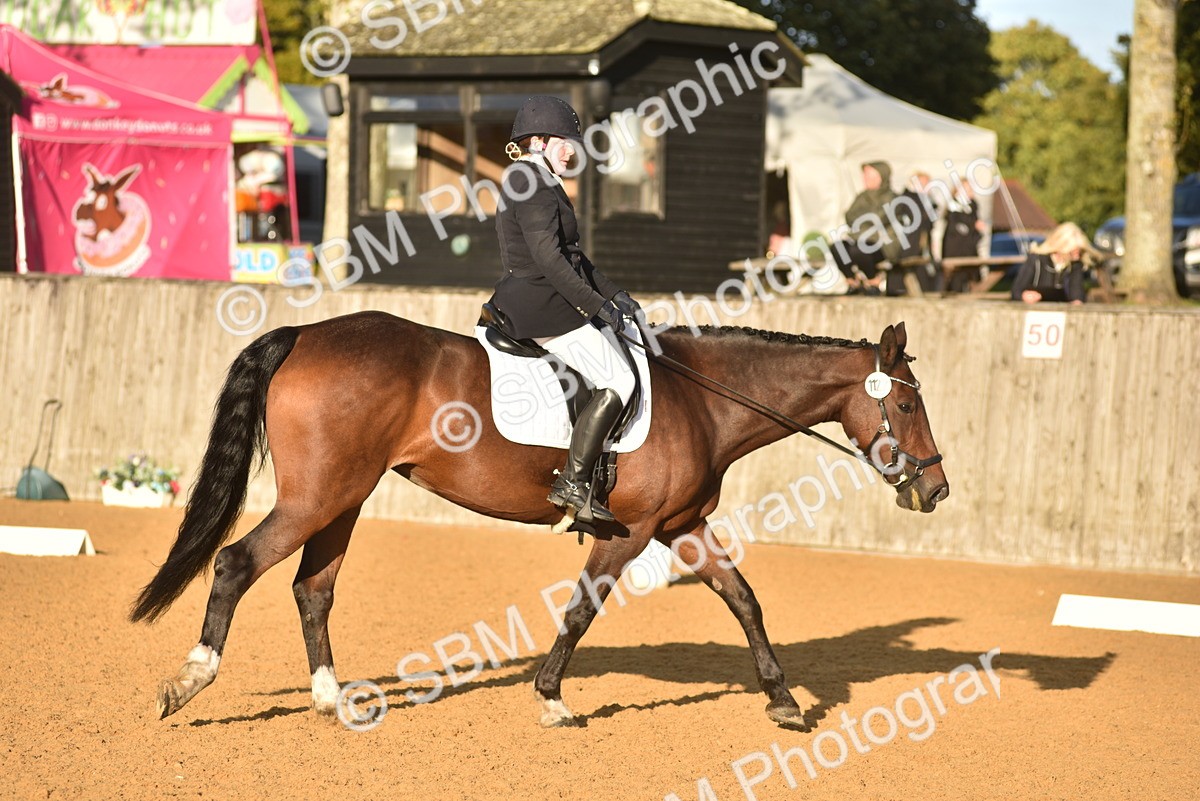 SBM_13348 - D19 - Small Tour Championship Elementary 1