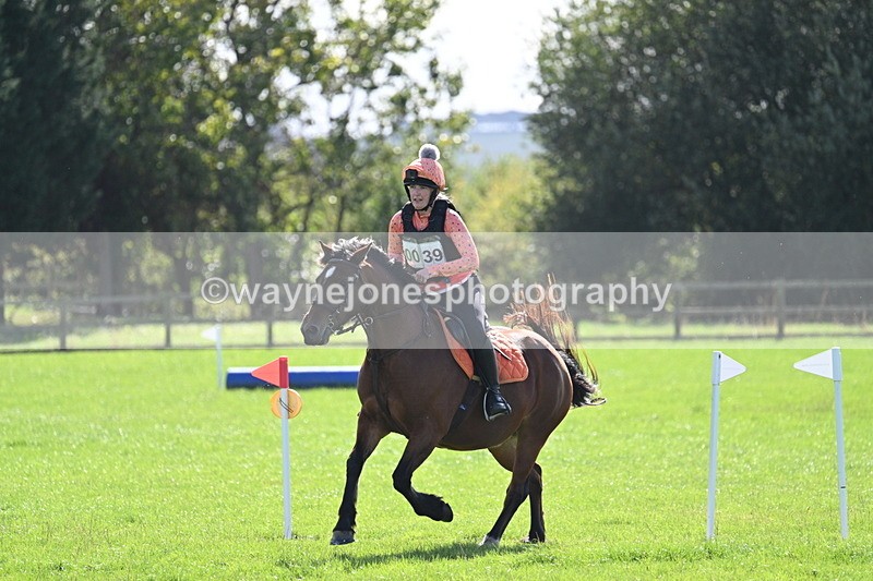 WJ7_1278 - Time 13:56 to 14:24