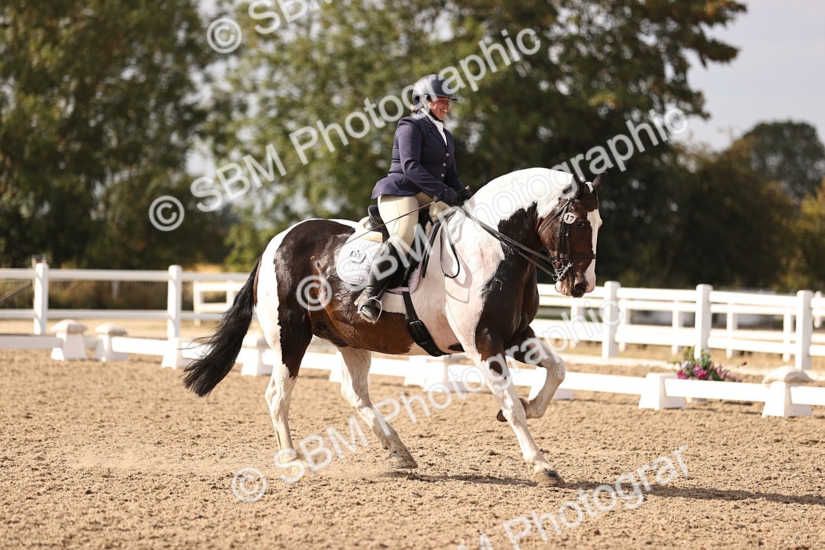 SBM_08111 - Class 39 Medium 3