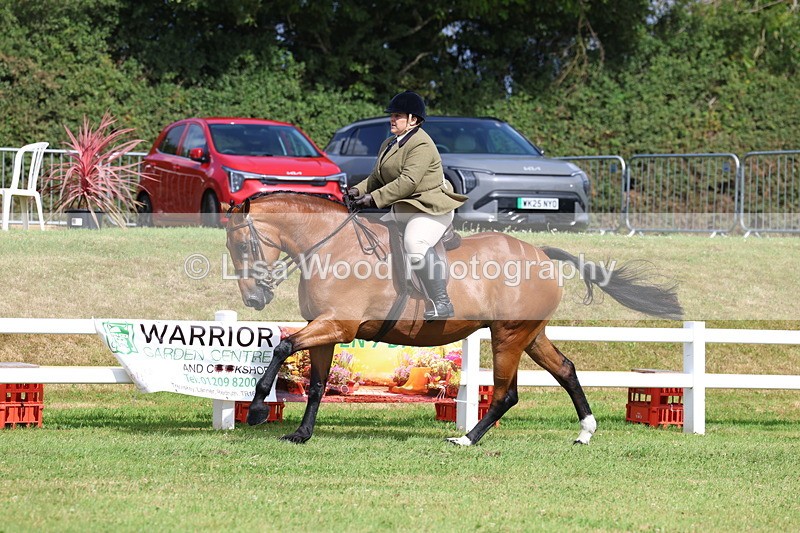 3E7A9441 - Class 4: Rising Star M/H Hunter