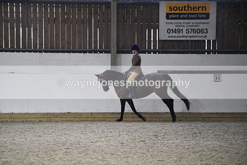 WJ5_8926 - Class 15 Ridden Show Horse