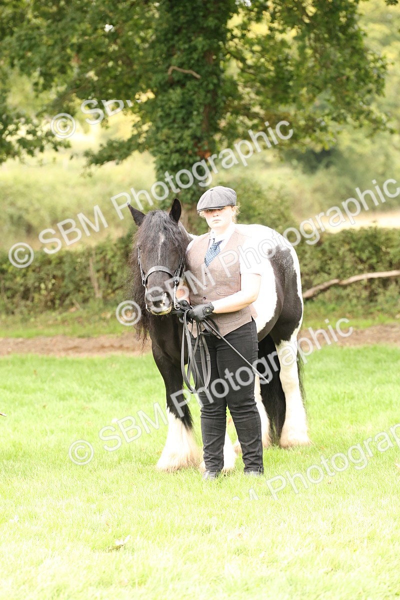 SBM_59315 - S57 - Traditional Cob In Hand