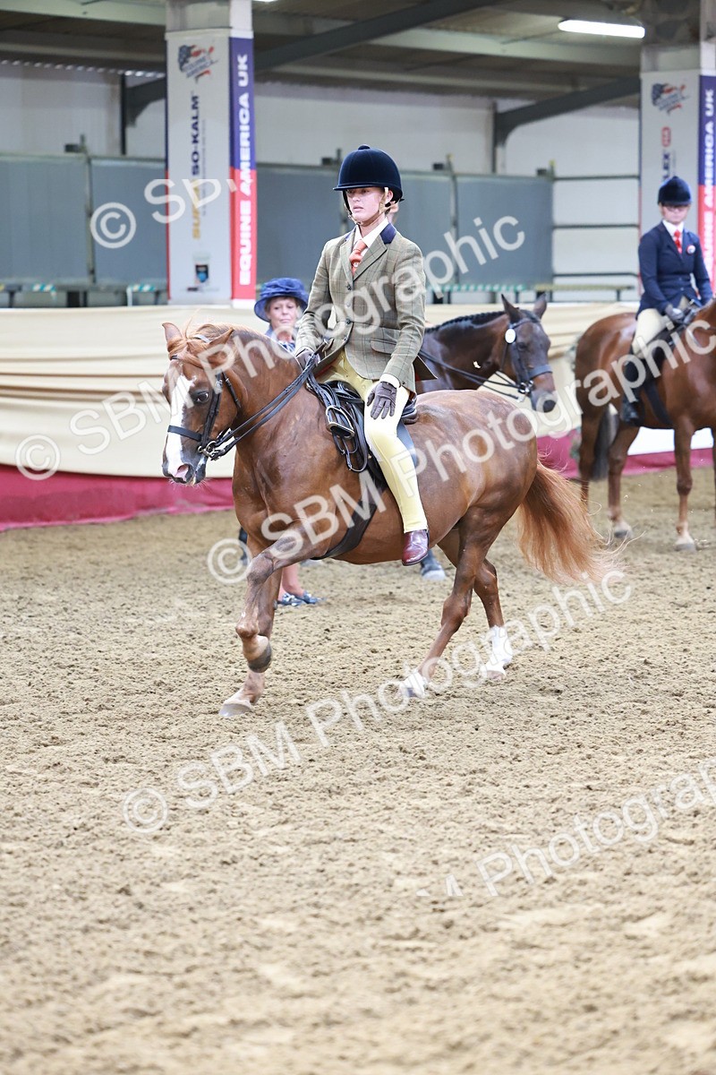 SBM_11915 - Class 102 - Equitation (Best Rider) Adult