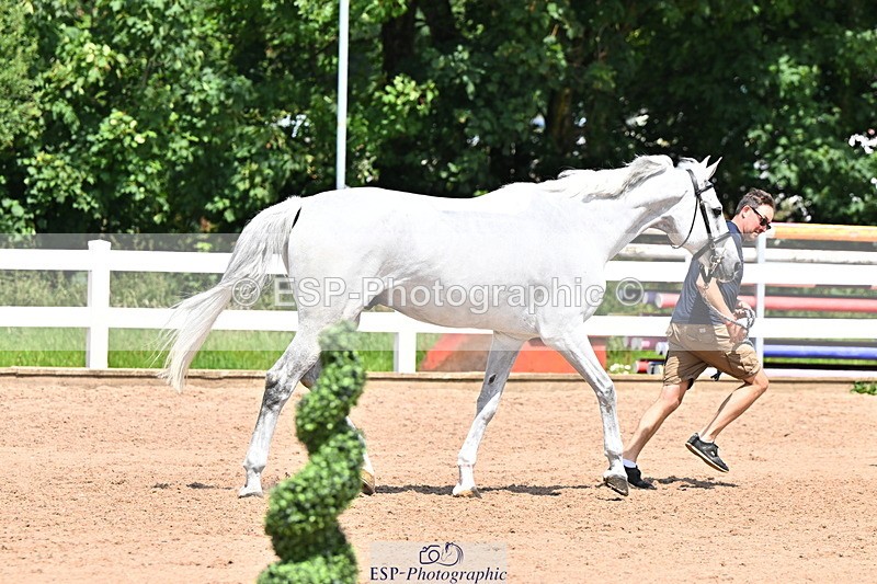 240718A-105318-01814 - Trot Up 1pm to 2pm