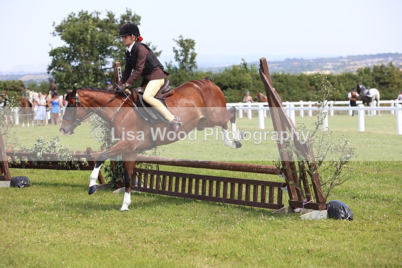 JPP_2627 - Class 21: Working Hunter 60cm
