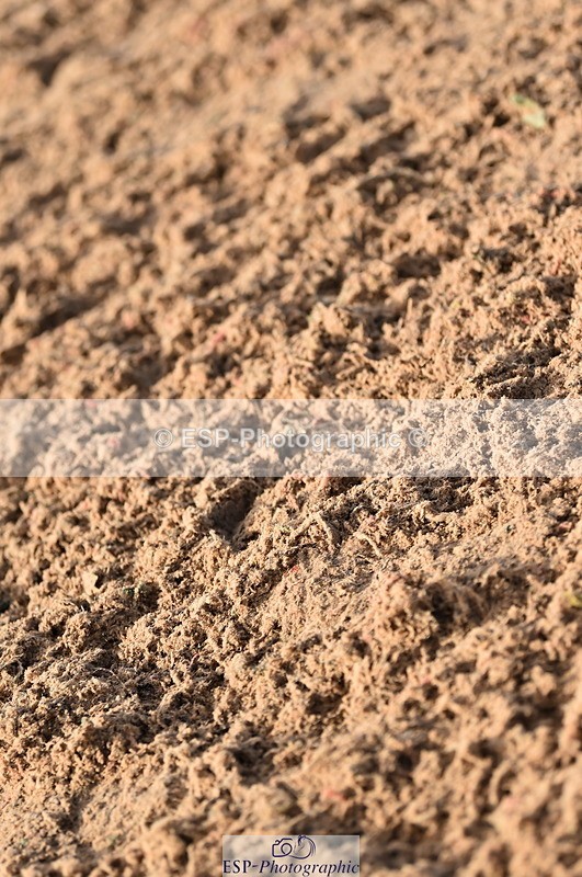 231028A-111558-00749 - Cls 2 British Novice & 80cm Open