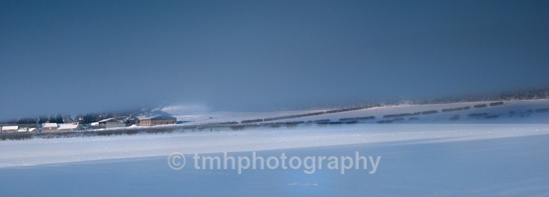 Winter Winds. - Snow Scene's /Winter