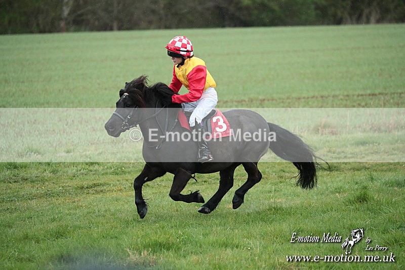 SHETPR 210425 127 - Shetland Ponies Paxford Races 21/04/25