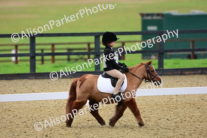 20260125-0563 - Class 9b - Walk Trot Unassisted