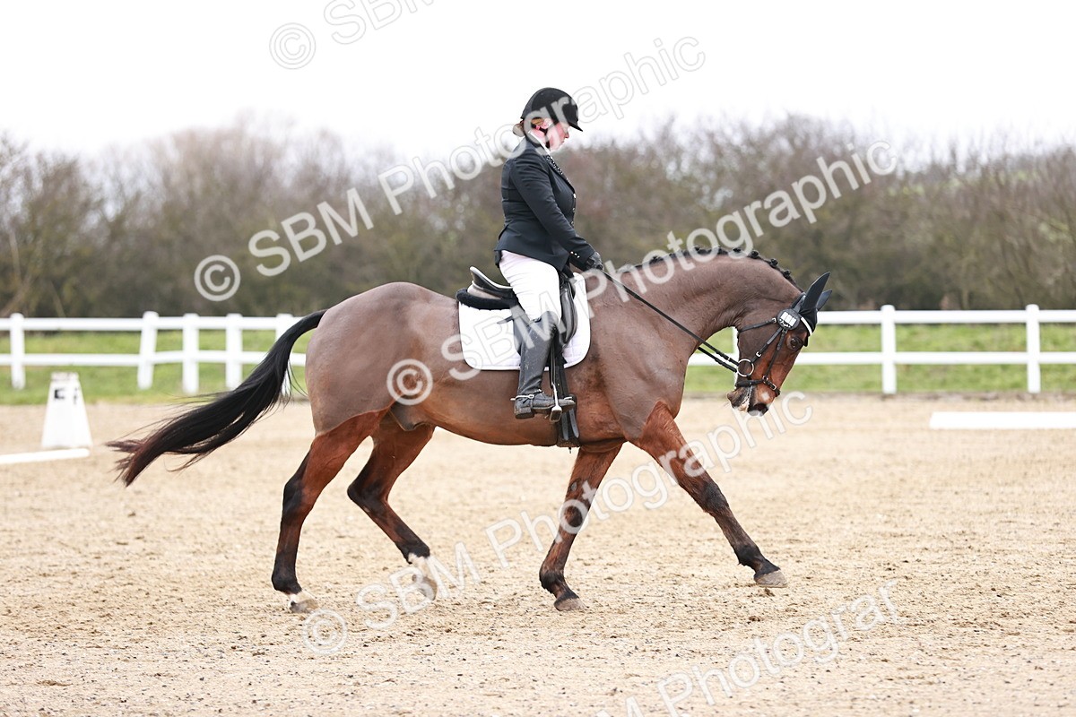 SBM_005202 - Elementary 1