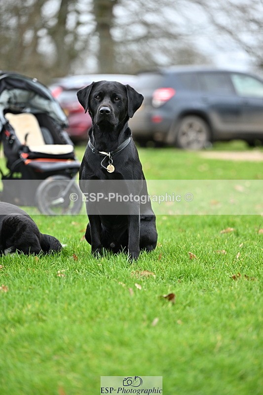 250201A-105842-00310 - Cls 02 Local Horse 100cm