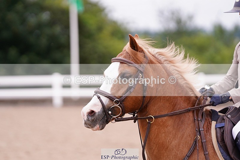 250629-105602-10814 - Cls 36 Pony Discovery & 90cm Open