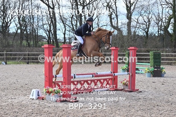 BPP_3291 - CLASS 2  Club/ Unaffiliated 80cms Open