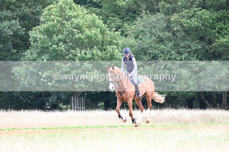 DSC_7084 - Time at Statue 12:45 to 13:15