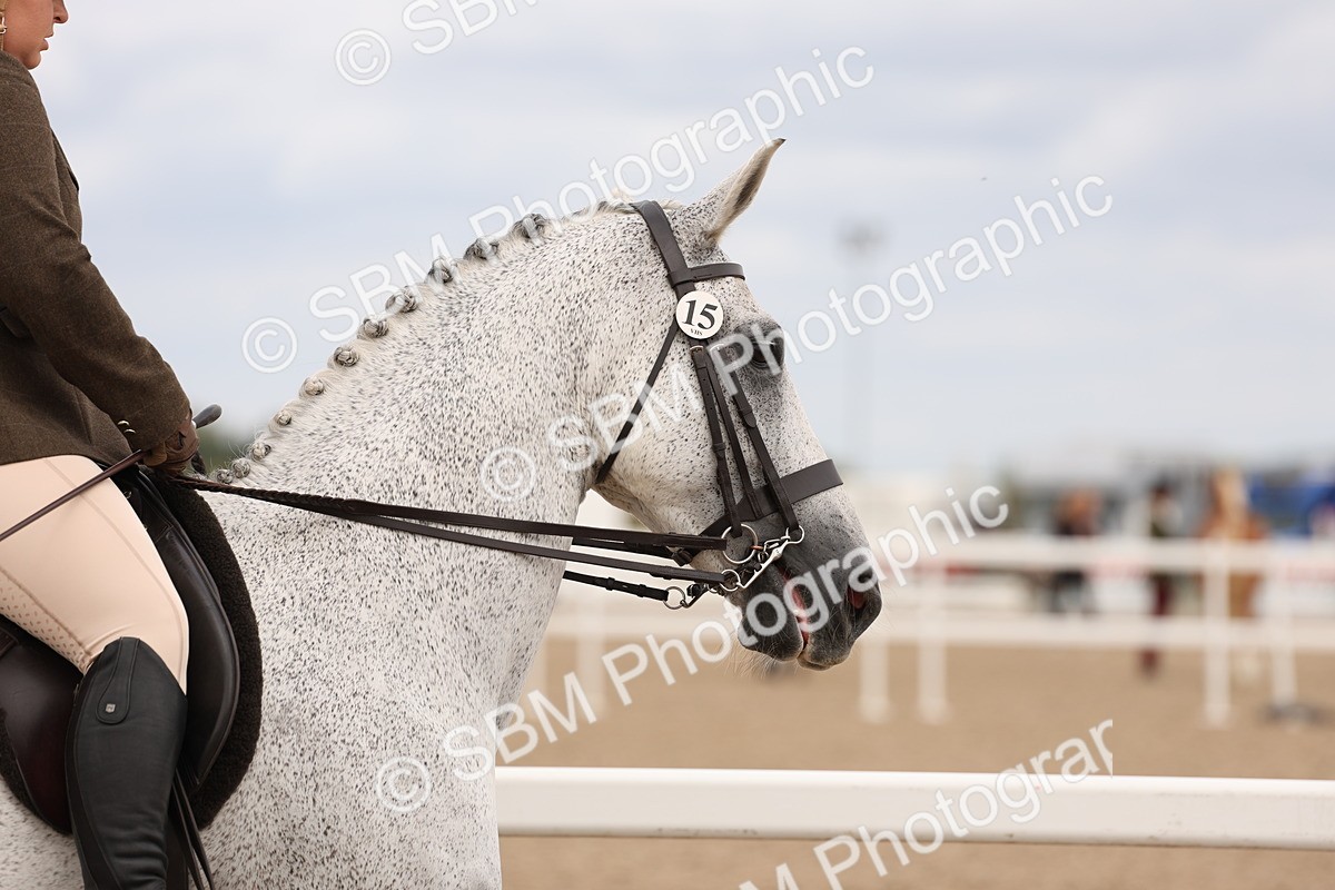 SBM_17183 - Class 213 - Ridden Hunter - Large