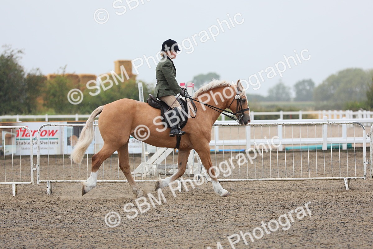 SBM_20280 - Class 803 - Ridden Combination 65+