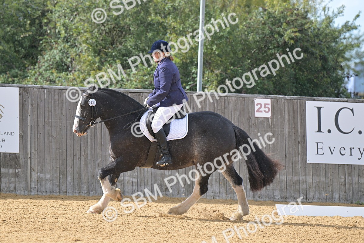 SBM_09280 - D8 - Small Tour Championship Prelim 1