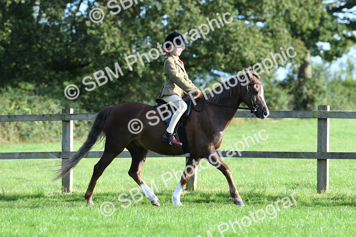 SBM_54006 - S23 - 1st Ridden Mountain & Moorland Pony