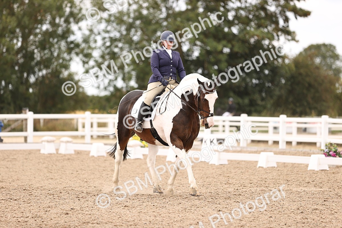 SBM_05875 - Class 37 Novice 5