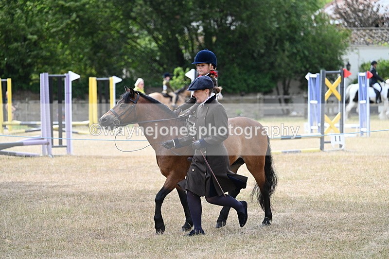 WJ7_6516 - Class 1 Lead Rein Pony