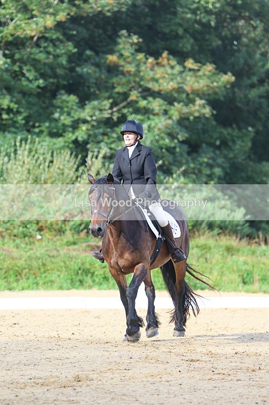 3E7A1880 - Class 1: Intro 4 2024 section A